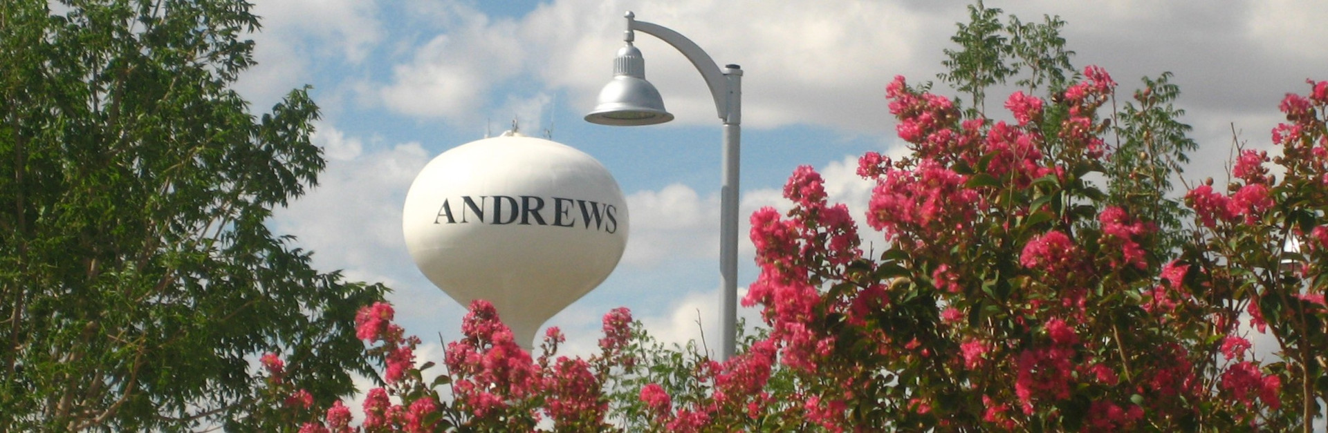 Delicious Andrews Catering, Wherever You Need It