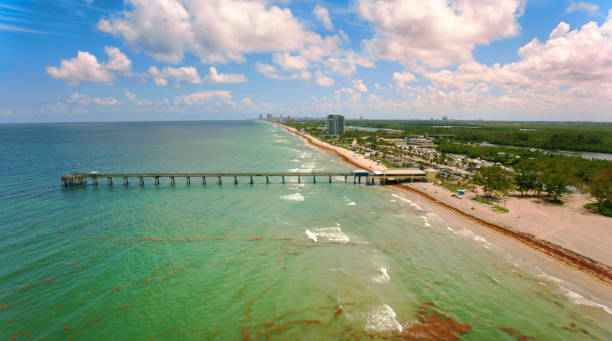 Delicious Dania Beach Catering, Wherever You Need It