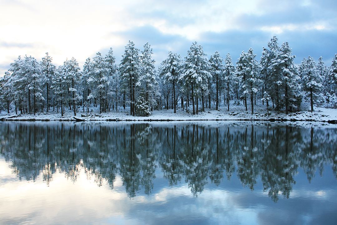 Delicious Pinetop-Lakeside Catering, Wherever You Need It